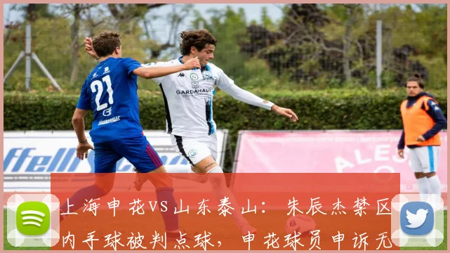 上海申花vs山东泰山:朱辰杰禁区内手球被判点球,申花球员申诉无意手球